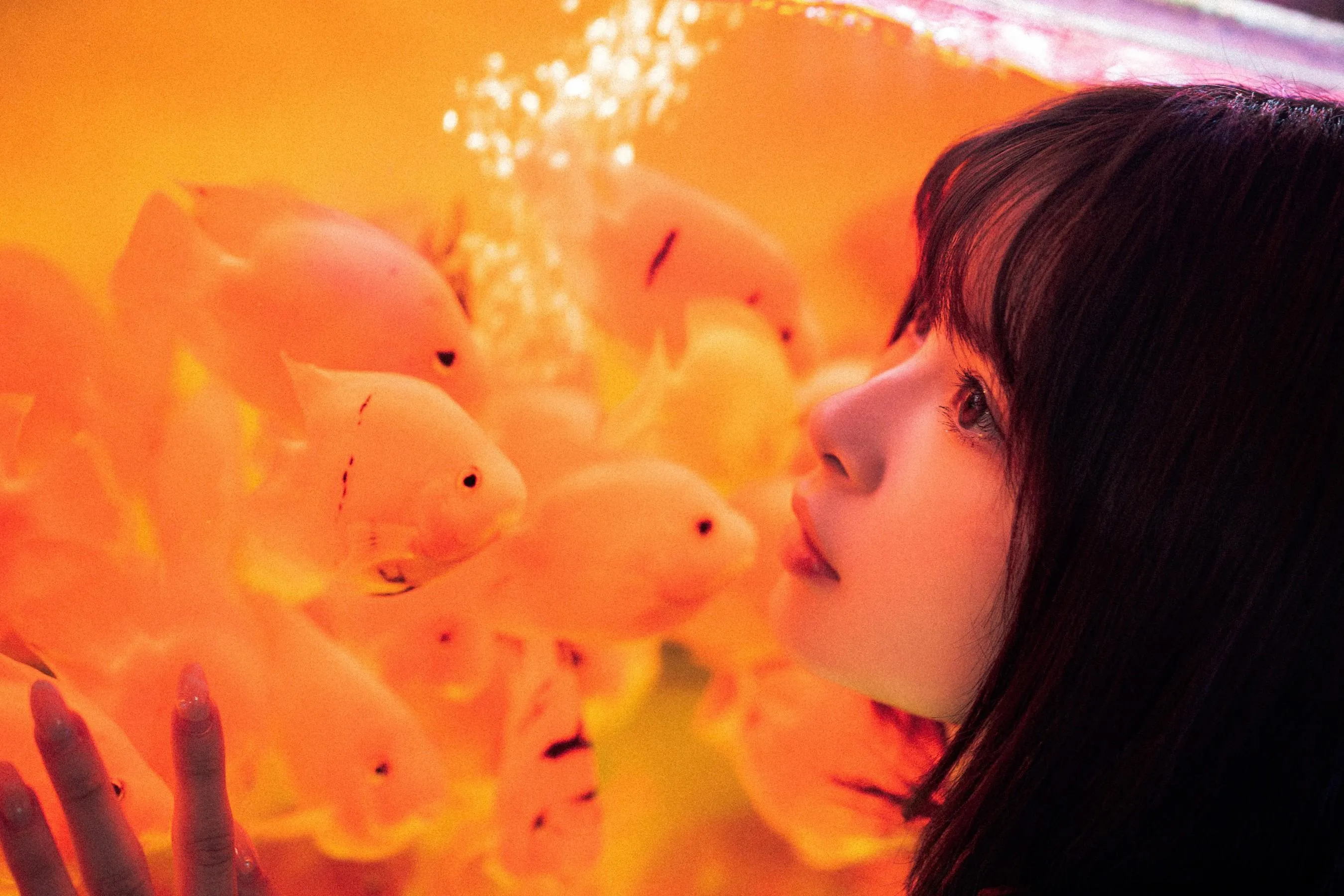 河豚抚子 – NO.11 金鱼jk [25P]插图6